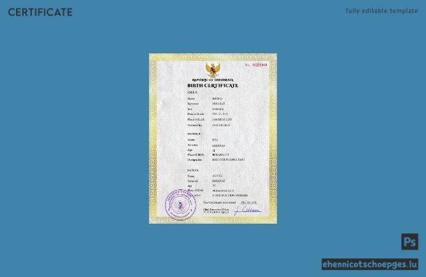 Indonesische Geburtsurkunde (PSD-Beispiel)